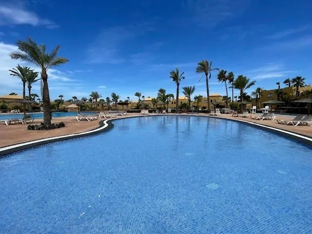 شقة The Little Palm كوراليهو